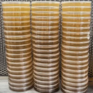 (x10) Pre-Poured MYPA Agar Dishes
